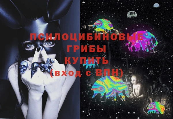 молекула духа Абинск