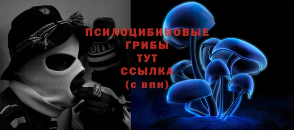 марихуана Абаза