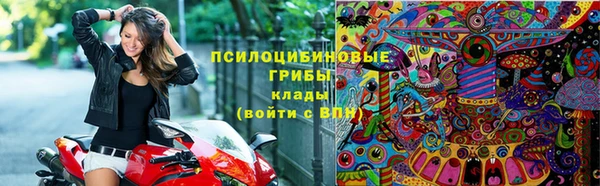 молекула духа Абинск