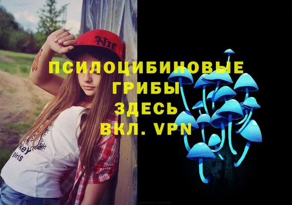 молекула духа Абинск