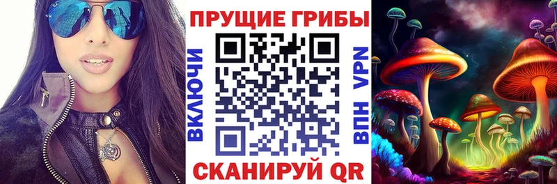 купить  цена  Таганрог  Псилоцибиновые грибы прущие грибы 