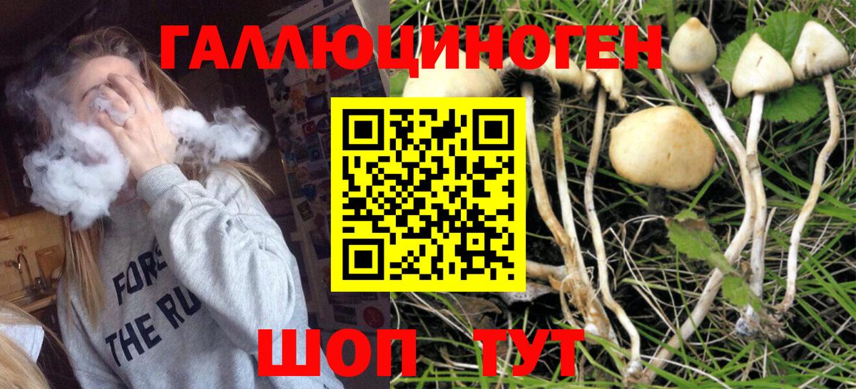 Псилоцибиновые грибы мухоморы Таганрог