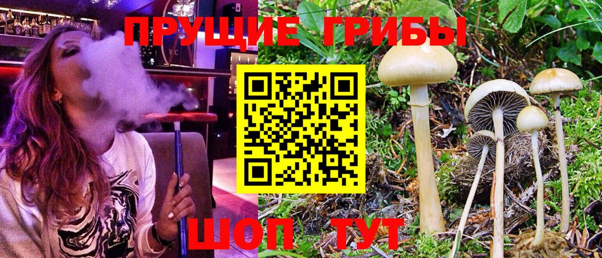 Канабис  Вход с VPN  Где продают наркотики?  МДМА  Меф кристаллы  Таганрог  ГАШ  Гашиш 