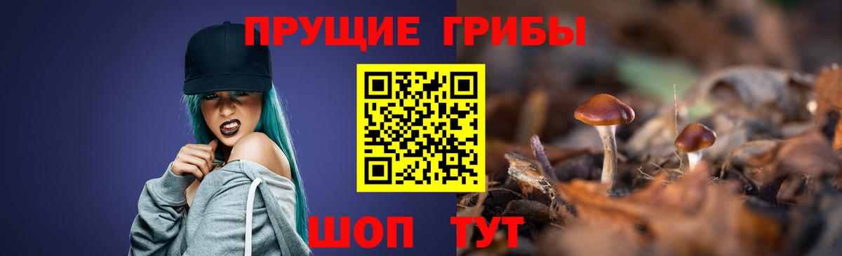 Галлюциногенные грибы MAGIC MUSHROOMS  Вход с VPN  где найти   Таганрог 